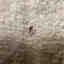 Photos des clients 2 de 3