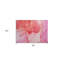 Tapis intérieur lavable abstrait rose 2 pi x 3 pi HomeRoots