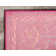 Nadene Washable Oriental Indoor Rug
