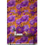 Papier peint floral papillon et décoration murale amovible mauve