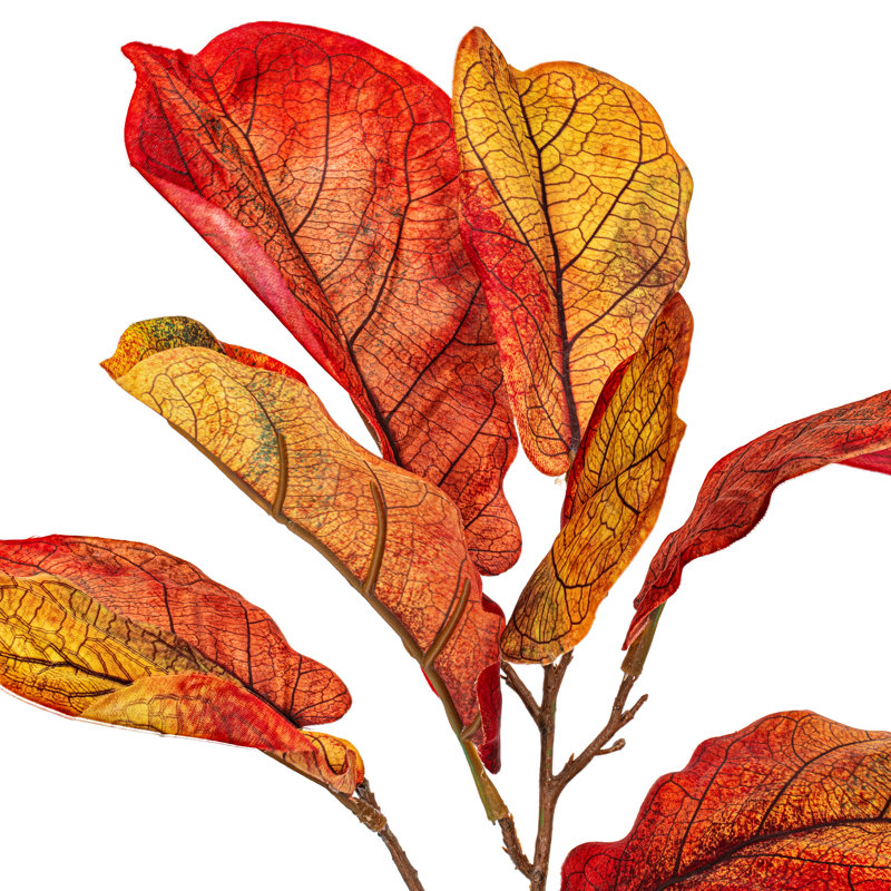 Vickerman 31" Orange Fiddle Leaf Spray. It measures 31 by 5 inches. It includes 3 pieces per bag.