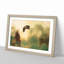 Skiing Vol.2 - Picture Frame Graphic Art-62762404-62762408