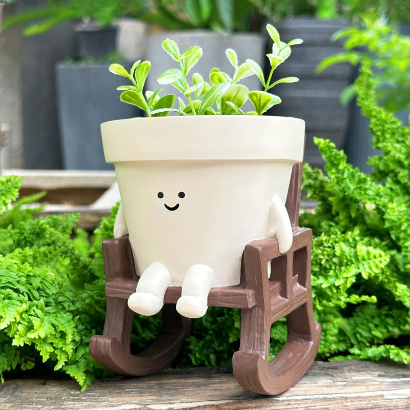 Mini Smiley Face Planter with Drainage Hole: Rocking Chair Design, First Choice for Indoor and Outdoor String of Pearls Planting