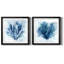 Coastal Coral I - ensemble de 2 cadres photo-61465959-61465960
