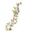 Fiori Cherry Blossom Arrangement