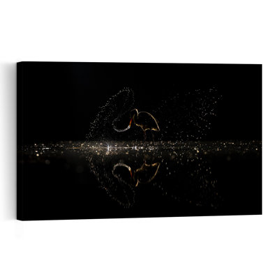 Night Bird Splash Contemporary Bird Wall Art Print 1 Piece Wrapped Canvas Wall Art