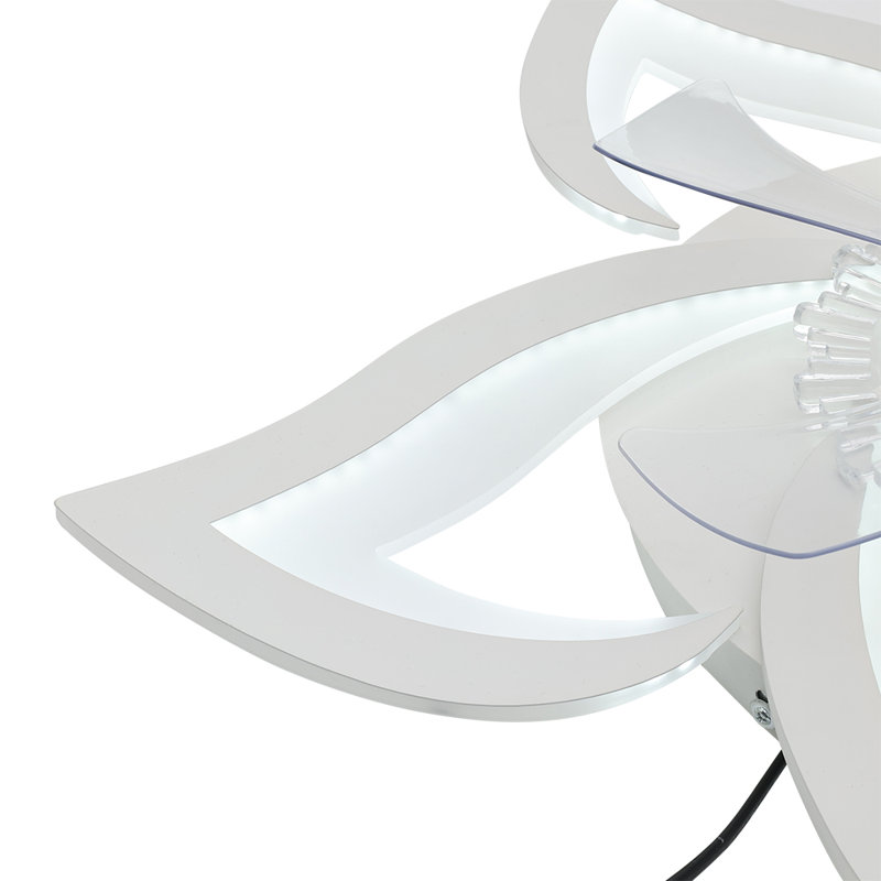 Ceiling Fan with LED Lights