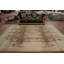 Tapis à motif de teinture végétale Art Deco 9 x 12