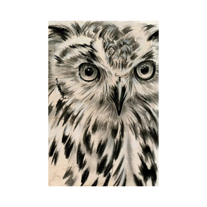 Charcoal Owl I- Gallery-Wrapped Canvas Giclée, 40" H x 26" W