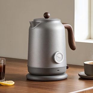 100% Pure Titanium Electric Kettle