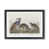 Black Framed Paper is unavailable