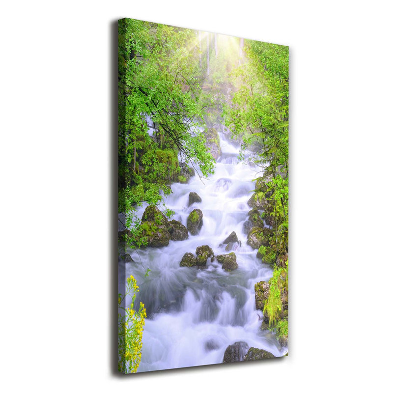 Audrye Mountain Stream - Wrapped Canvas Print