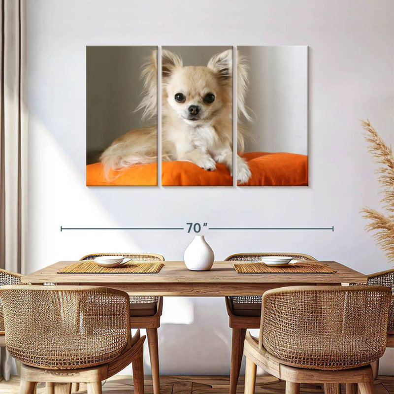Chihuahua On Pillow, 36" H x 57" W