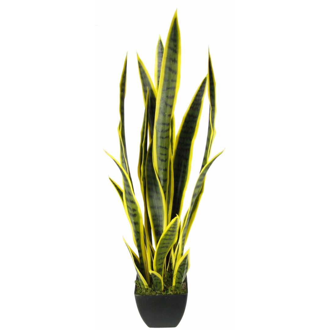 Boden-Kunstbaum Sansevieria im Topf