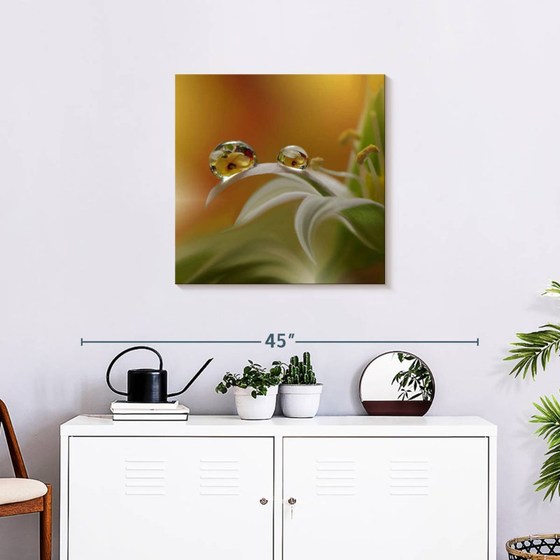 Brume de fleurs Alvord, H 24 po x l 24 po