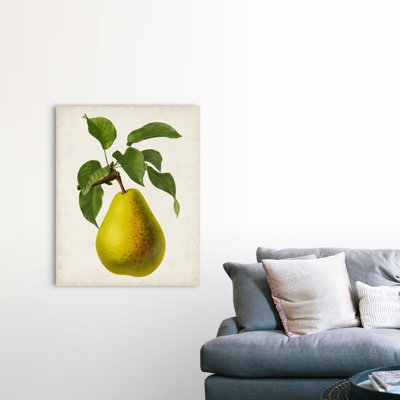 Antique Fruit VII - reproduction d'art sur toile