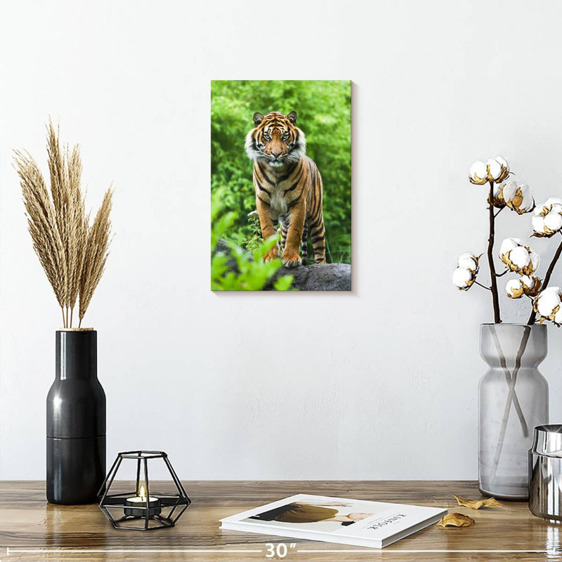 Tigre de Brampt dans la forêt verte, H 12 po x l 8 po