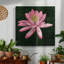 Toile tendue rose I-Premium Gallery - prêt à accrocher