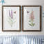 «Wildflower Botanical I», ensemble de 2 reproductions d'art-923653541-923653542-808463890