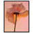 Black Floater Frame selected