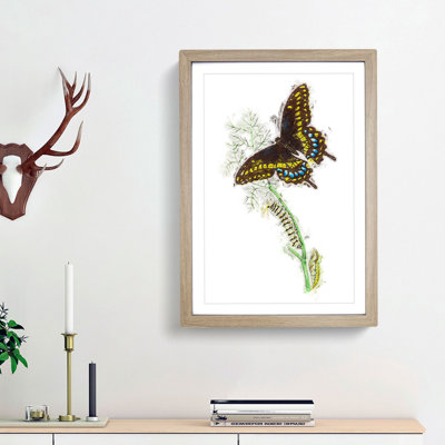 Caterpillar & Butterfly by George Shaw - Picture Frame Graphic Art Print