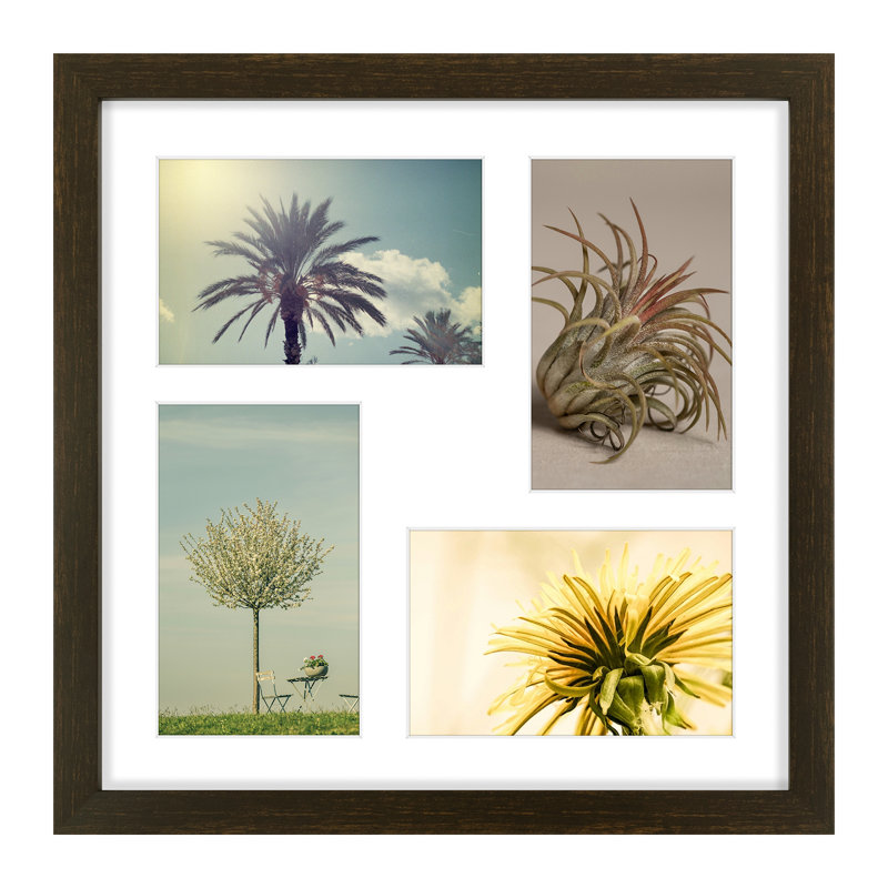 Cadre photo en bois massif, L 12 po x H 12 po, Brun