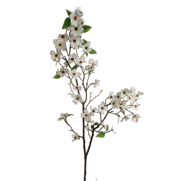 Arrangement cornouiller