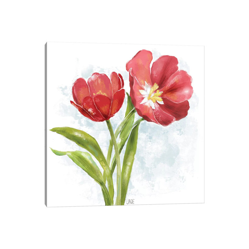 Red Tulip Splash I by Jade Reynolds - Wrapped Canvas Painting, 30.48 cm H x 30.48 cm W