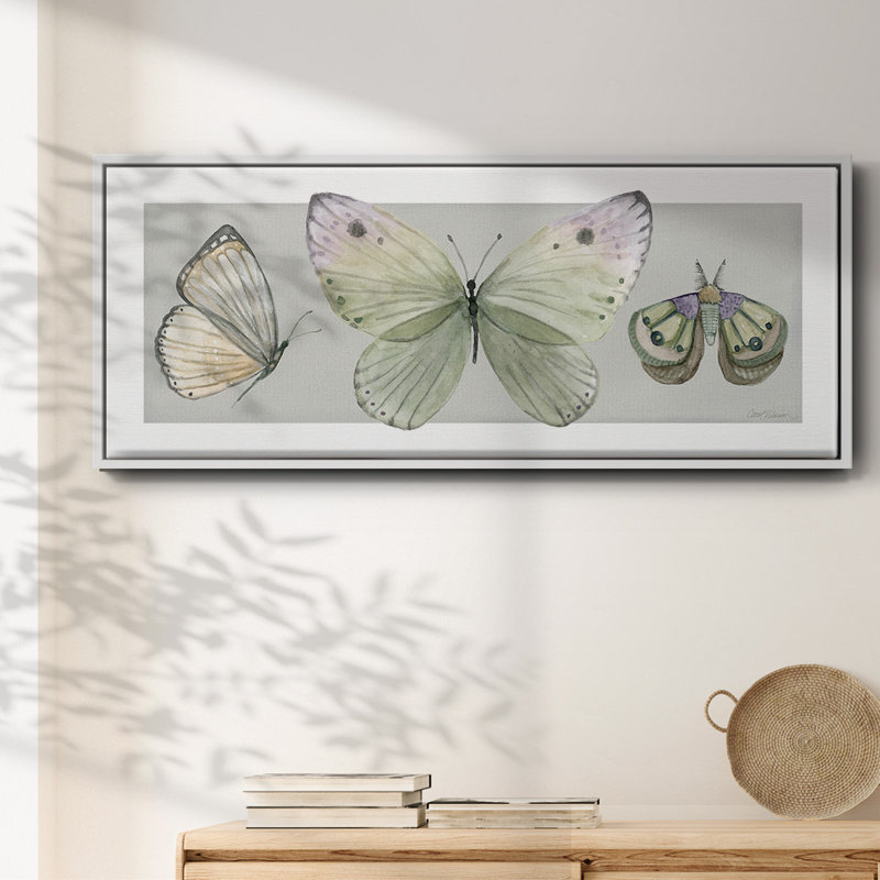 Pretty Insects II- Framed Canvas, 8" H x 20" W