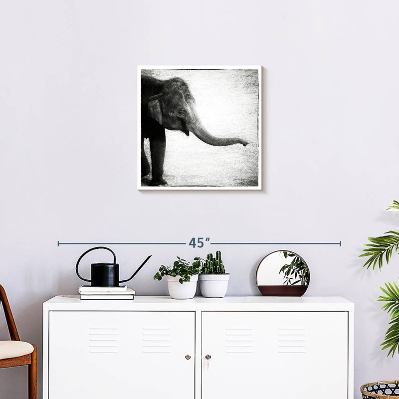 Crowle Baby Elephant Monochrome, 20" H x 20" W