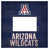 University of Arizona