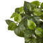 6 plantes de feuillage artificiel