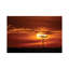 Vultures In A Tree At Sunset, Masai Mara by Jane Rix - Gallery-Wrapped Canvas Giclée on Canvas-1171120537-1171120539