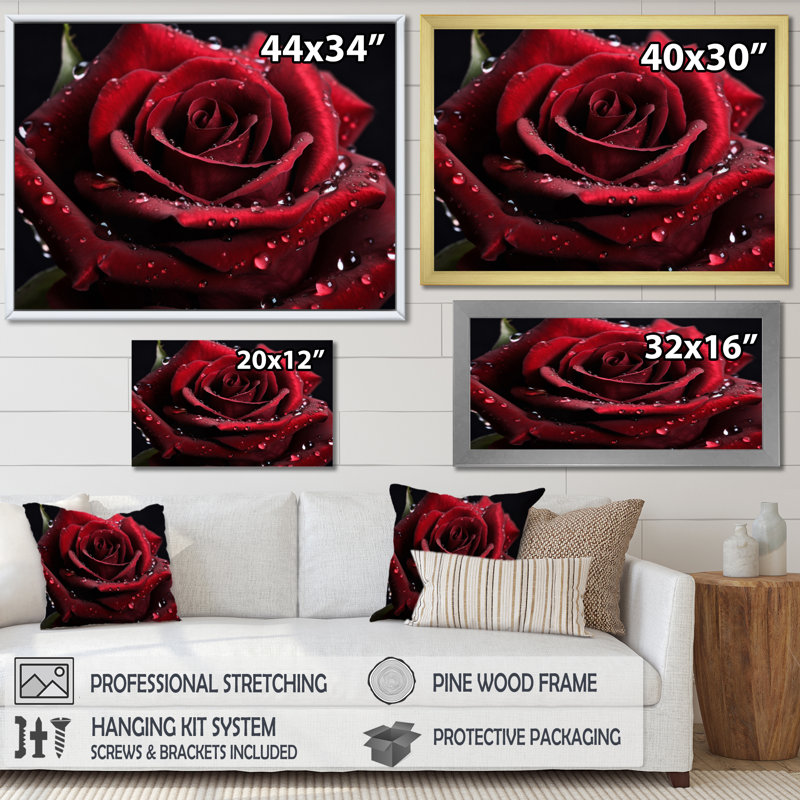 «Red Rose with Raindrops II», reproduction sur toile encadrée, Cadre flottant noir, H 34 po x l 44 po x P 1,5 po