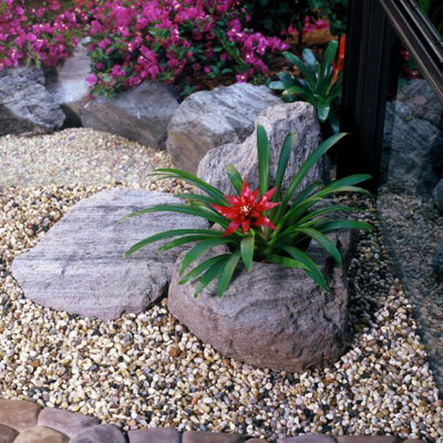 Pot à fleurs Ovalle Pumice