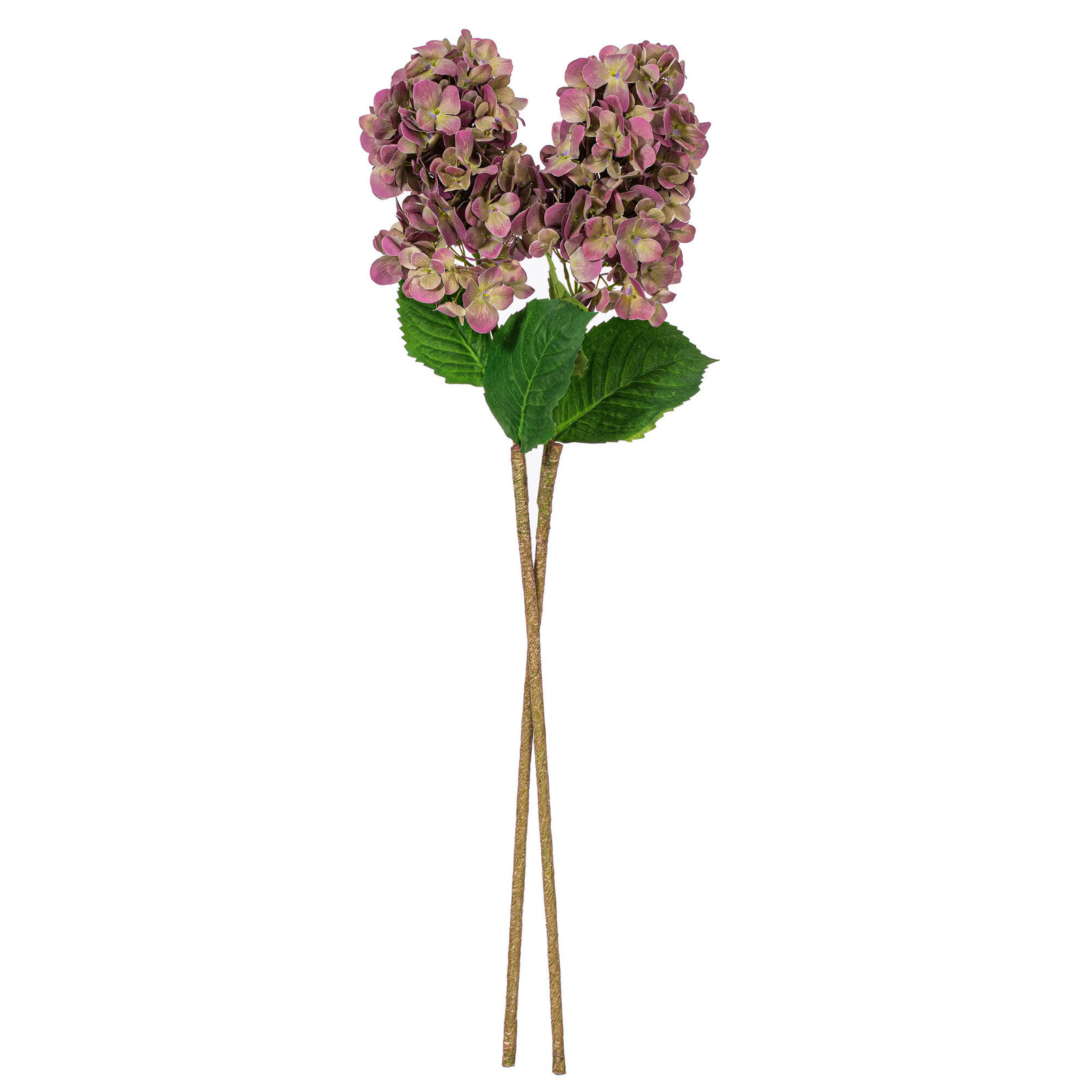 Lavender Floral Stems, Plum