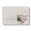 Seagulls By The Sea by The Sea Watercolour - Wrapped Canvas-61884567