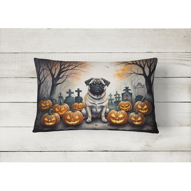 Other/No Pattern Outdoor Throw Pillow