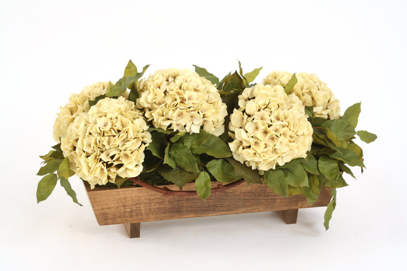 Hydrangea Arrangement