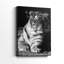 Tiger Repose - galerie Cavas-1940095601