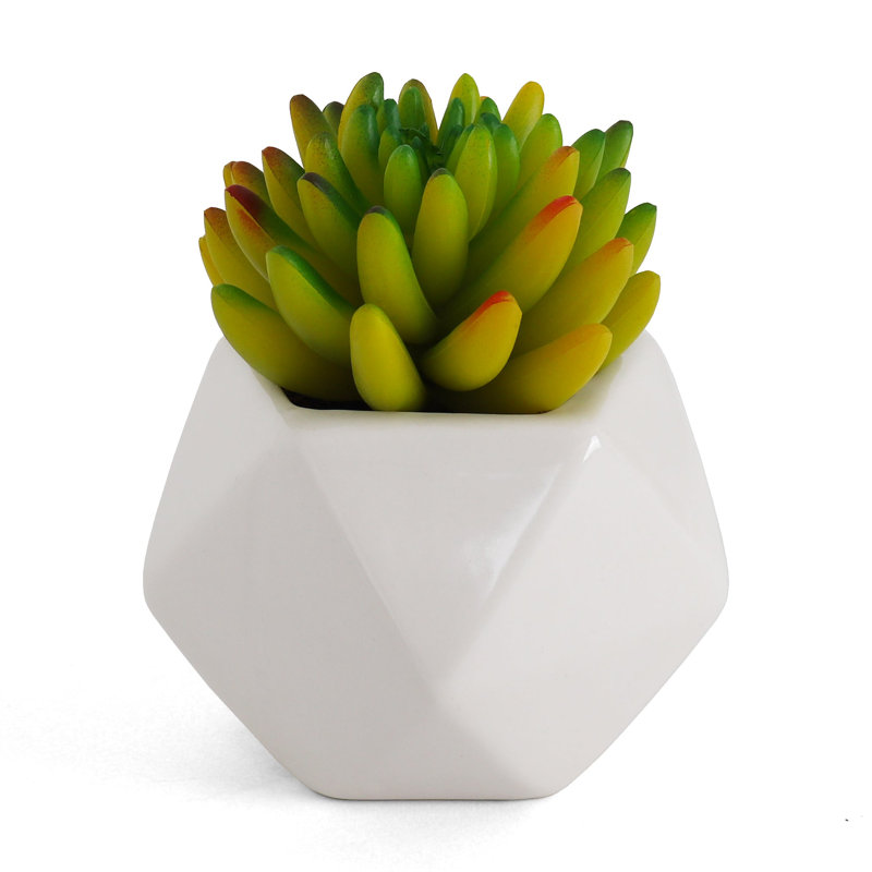 4.5'' Faux Succulent in Ceramic Planter