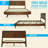 Harmony Solid Wood Bed Frame Platform Style with Sculpted Headboard, Mid-Century Modern, No Box Spring Needed, Smart Tools Assembly, 800 lbs Capacity-127582611-127582622