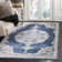 Uttoxeter Oriental Hand Woven Area Rug