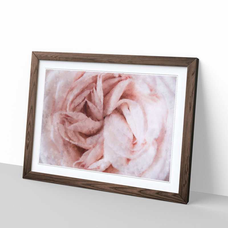 Petals of a Pink Carnation - Picture Frame Graphic Art Print, 24cm H x 33cm W x 2cm D, Walnut