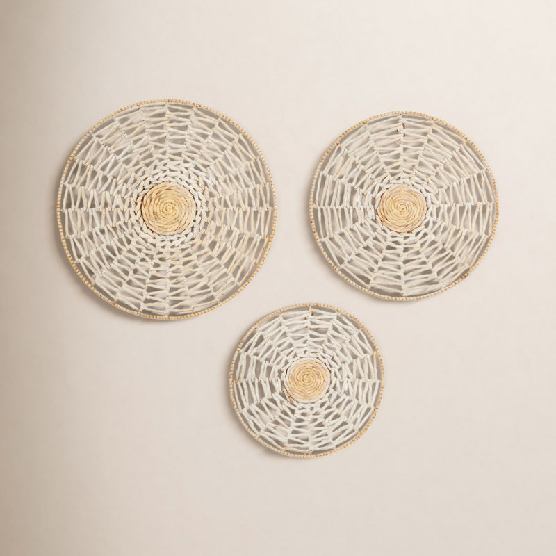 Handmade Coastal Abstract Wall Decor on Dried Plant