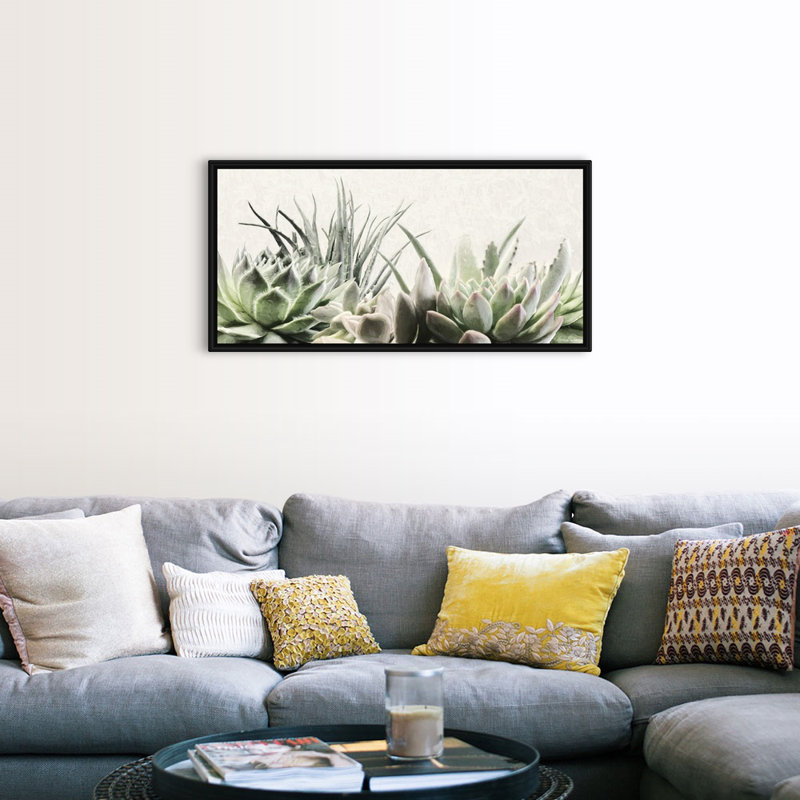 «Soft Succulents II», art mural sur toile, Toile avec cadre noir, H 24 po x l 48 po x P 1,75 po