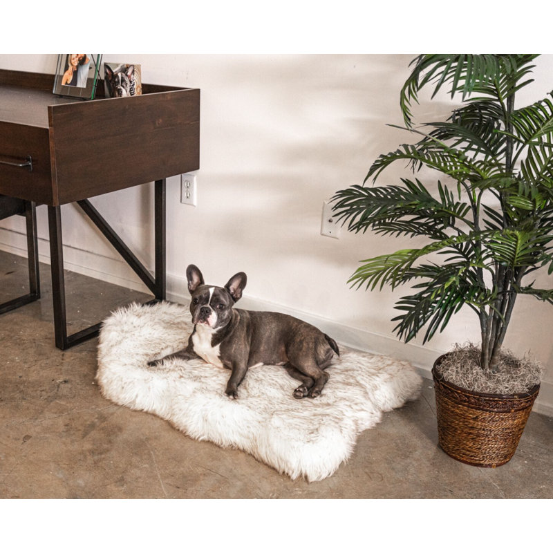 Medium Polar White Faux Fur Orthopedic Dog Bed