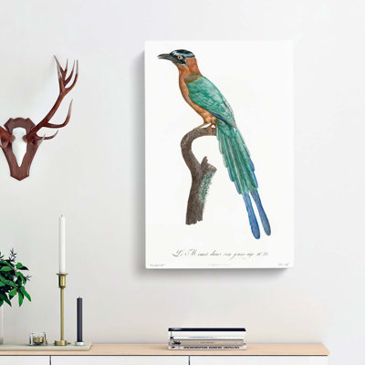 Motmot Bird by Jacques Barraband - Wrapped Canvas Painting Print