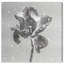 Tidal Wilt III Floral & Botanical Canvas Print by Oliver Gal, Black Frame, 12 x 12-1059185432-1059185437