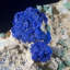 Azurite et cerussite avec miniature malachite - Mine Bou Beker, Maroc